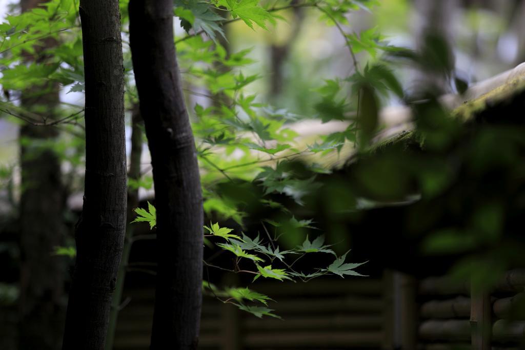 Yufuin Souan Kosumosu Exterior foto